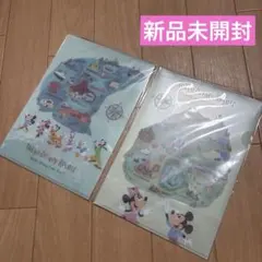 東京ディズニーリゾート マップ柄　クリアファイル A5 2枚セット