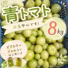【青トマト】福井県産・8kg②のサムネイル