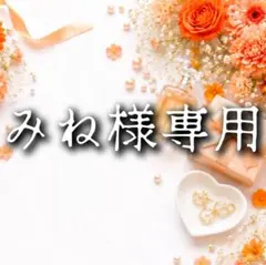 みね様 リクエスト 3点 まとめ商品