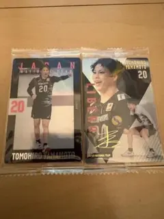 バレーボール男子日本代表 山本智大 トレーディングカード 2枚セット