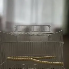 Item thumbnail for item de34e3db-fa83-4f59-b311-56eb70ca6487