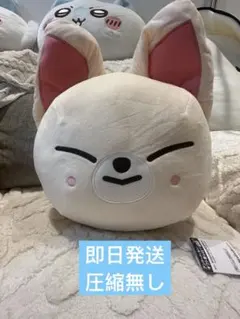 Foxl.Ny】SKZOO GiGO限定 ドーム型BIGぬいぐるみ スキズ - メルカリ