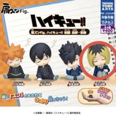 ハイキュー!! 肩ズンFig 孤爪研磨①
