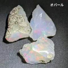 2023年「卯年（ラビット）」カラー銀貨 1/2オンス・純銀（パース造幣局