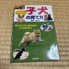 とってもかわいい!子犬の育て方