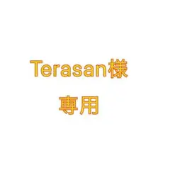 Terasan 様専用❤️〈Sサイズ〉紅さし梅干し準A級　2400g