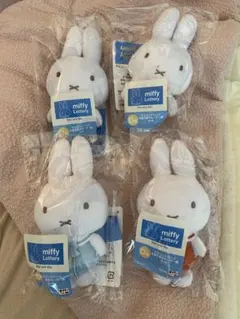 Item thumbnail for item 78e8be5e-ac5f-45e7-a8a0-dcd94a5c434f