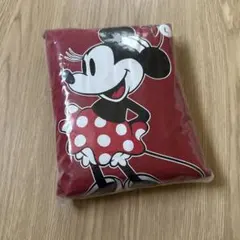 Disney レインコート ポンチョ カッパ ディズニーLサイズ
