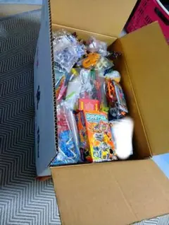 ラ*ン様 ほねほねザウルス　まとめ　新品未開封あり