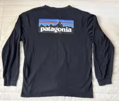 Patagonia パタゴニア　長袖　Tシャツ　ロンT