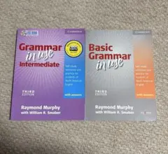 Basic & Intermediate Grammar in Use セット