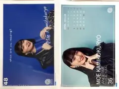 上國料萌衣 2021 秋ツアー Part13 ピンポス 2種セット