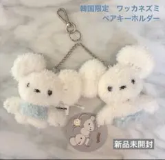 新品　韓国　ポケモン ワッカネズミ　ペアキーホルダー　キーリング ぺたんこ