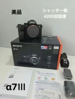 2026年最新】ソニー α7iii レンズキットの人気アイテム - メルカリ