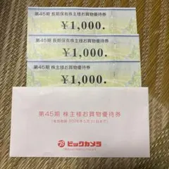 ビックカメラ 株主優待お買物券 3枚セット