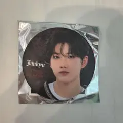 TREASURE ジュンギュ PULSEON 缶バッチ