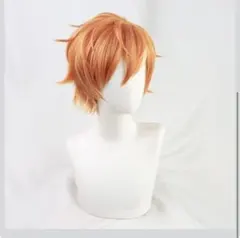 あんさんぶるスターズ!! あんスタ 明星スバル コスプレ ウィッグ