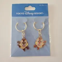 東京ディズニーリゾート チップとデール キーチェーン