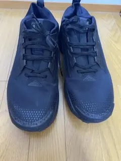 NIKE ペガサストレイル5 GORE-TEX トリプルブラックのサムネイル