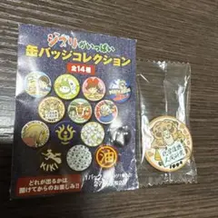 ジブリ缶バッジ