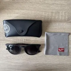 Ray-Ban ERIKA サングラス RB4171F 622/8G 54