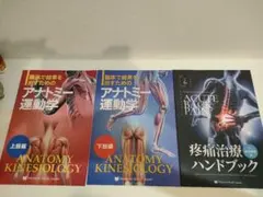 美品！最終値下げ早いもの勝ち！アナトミー運動学 疼痛治療