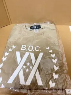 Item thumbnail for item 6f87aed5-22d3-43fe-bf5d-2a1e372d3961