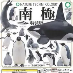 ガチャガチャ　ネイチャーテクニカラー　南極　特装版　イワトビペンギン　単品　新品