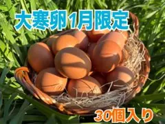 Item thumbnail for item cf02f545-affe-4035-9d89-2b3f7eff84f6