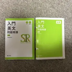 入門英文問題精講 別冊付き