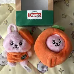 BT21 オレンジフルーツデザインぬいぐるみCOOKY2個セット