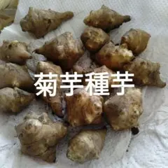 tengyuansunao様 リクエスト 2点 まとめ商品