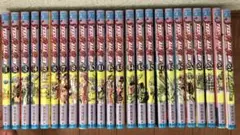 ジョジョの奇妙な冒険 全巻セット