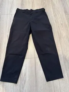 dickies ナイロンパンツ　30インチ