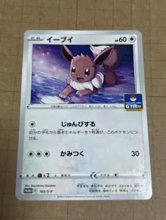 ポケモンカード　イーブイ　GYM