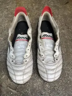 Mizuno モレリア　ネオ　4