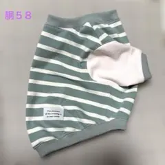 Item thumbnail for item 1fda19a5-e488-46c6-848e-b135870a992e