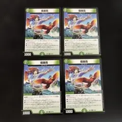 極楽鳥 4枚 - メルカリ