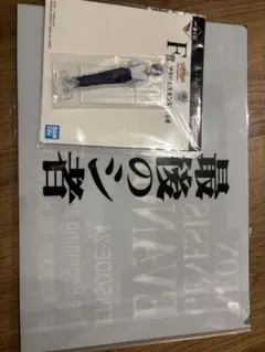 エヴァンゲリオン　アクスタ　ファイル　カヲル