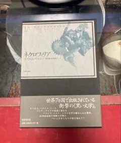 絶版】ネクロフィリア ガブリエル・ヴィットコップ 国書刊行会 - メルカリ