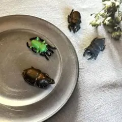 昆虫　バスボールの中身　4点セット