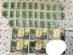 プロセカ　はぴこれ　日野森雫 缶バッジA賞　アクリル色紙A賞　カラフェス(特訓前