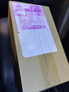 ポケモンセンター　ヒロシマ スペシャルBOX