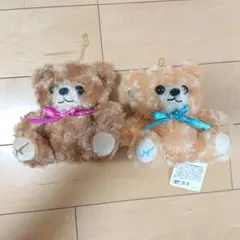アピナ限定 テディベア くま ぬいぐるみ 2個セットのサムネイル