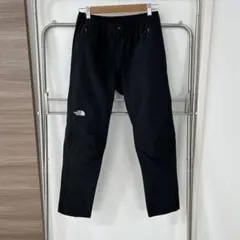 送料無料！【ノースフェイス】アルパインライトパンツ メンズ