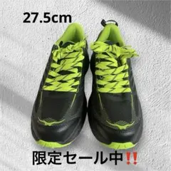 Item thumbnail for item 5e6d2a6f-ed46-460d-800a-04f409a6c35e