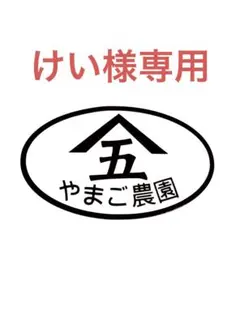 366けい様専用