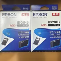EPSON 純正 IB02KB ブラック 未開封 期限切れ - メルカリ