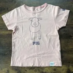 SHIPS キッズ Tシャツ ピンク ブタ柄