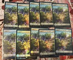 10枚　平地　チョコボトラックフォイル　チョコボバンドル　MTGのサムネイル